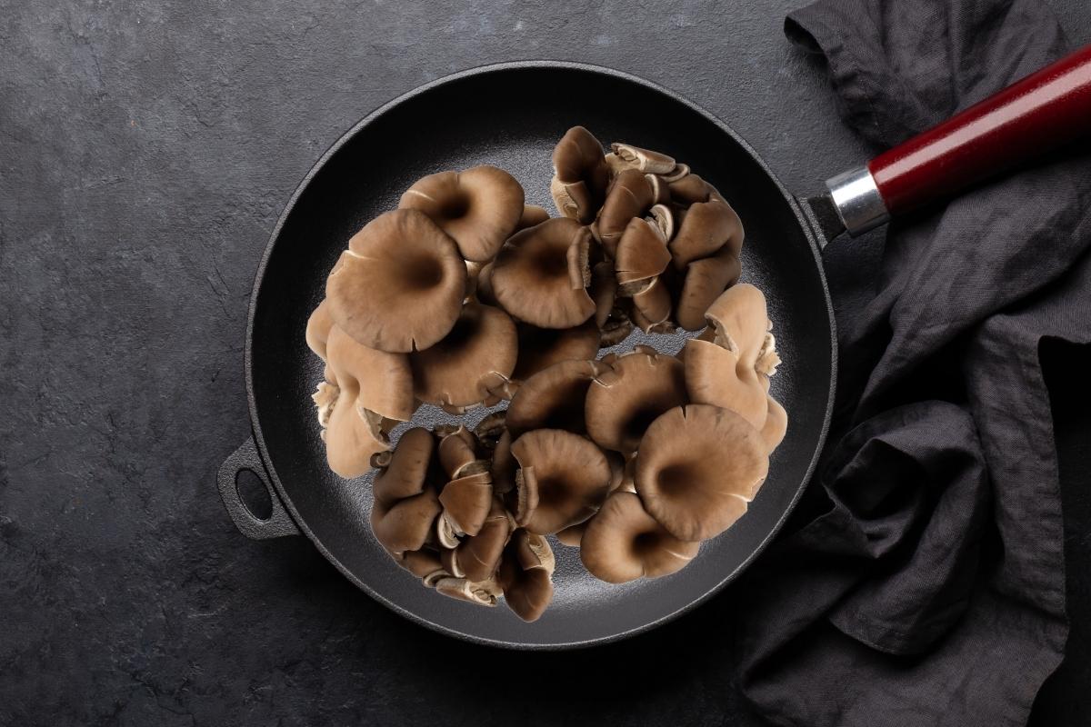 Pearl Oyster Mushrooms